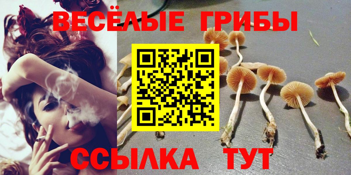 Псилоцибиновые грибы Cubensis  Вход с VPN  Рязань 